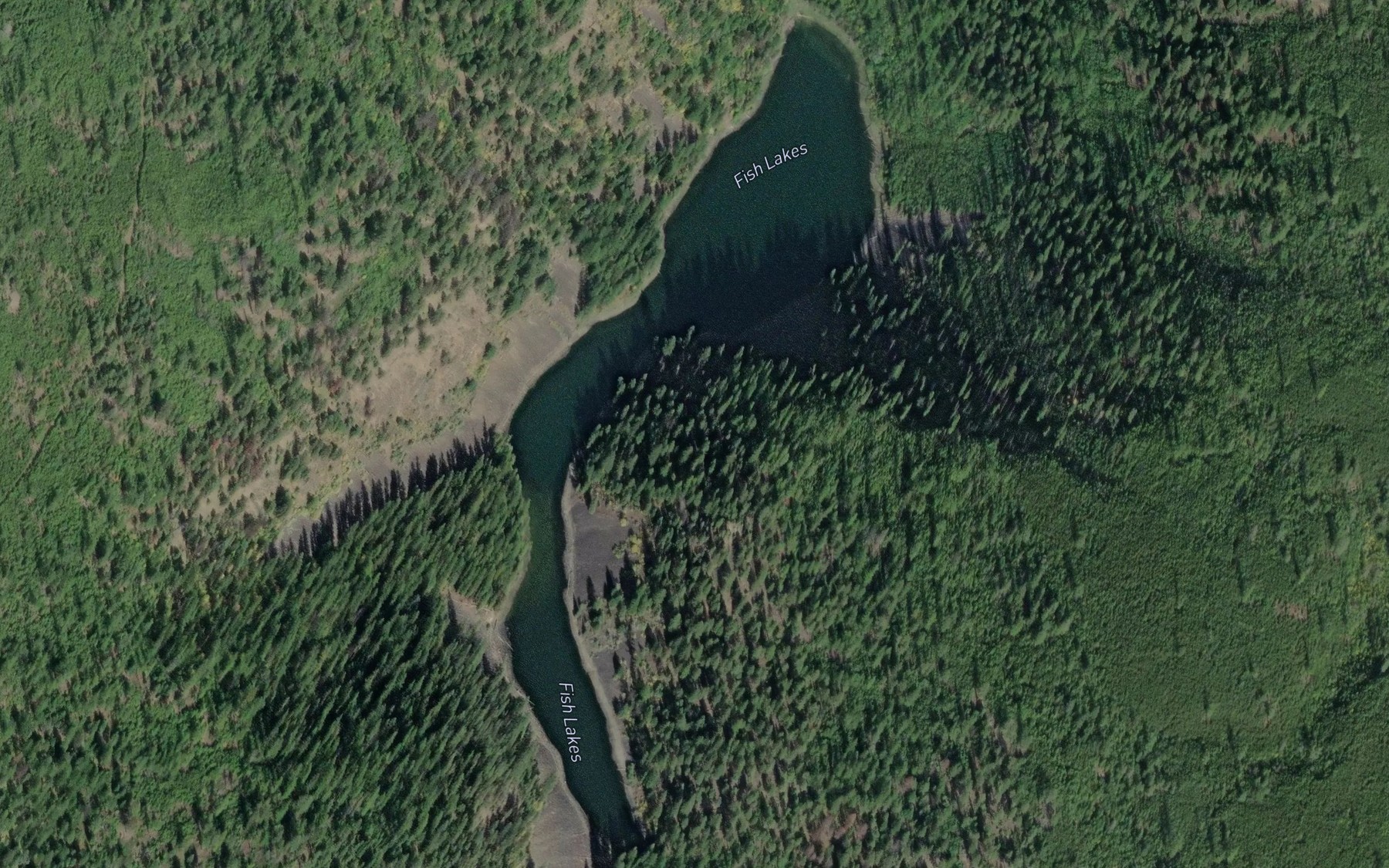 Satellite map of the Fish Lakes