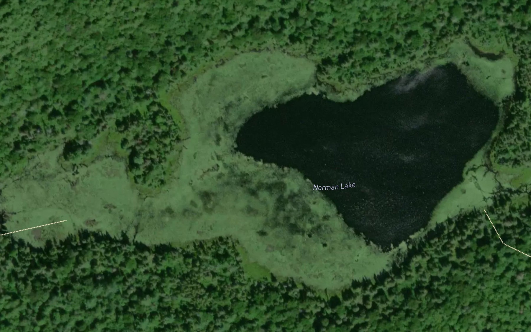 Satellite map of the Norman Lake