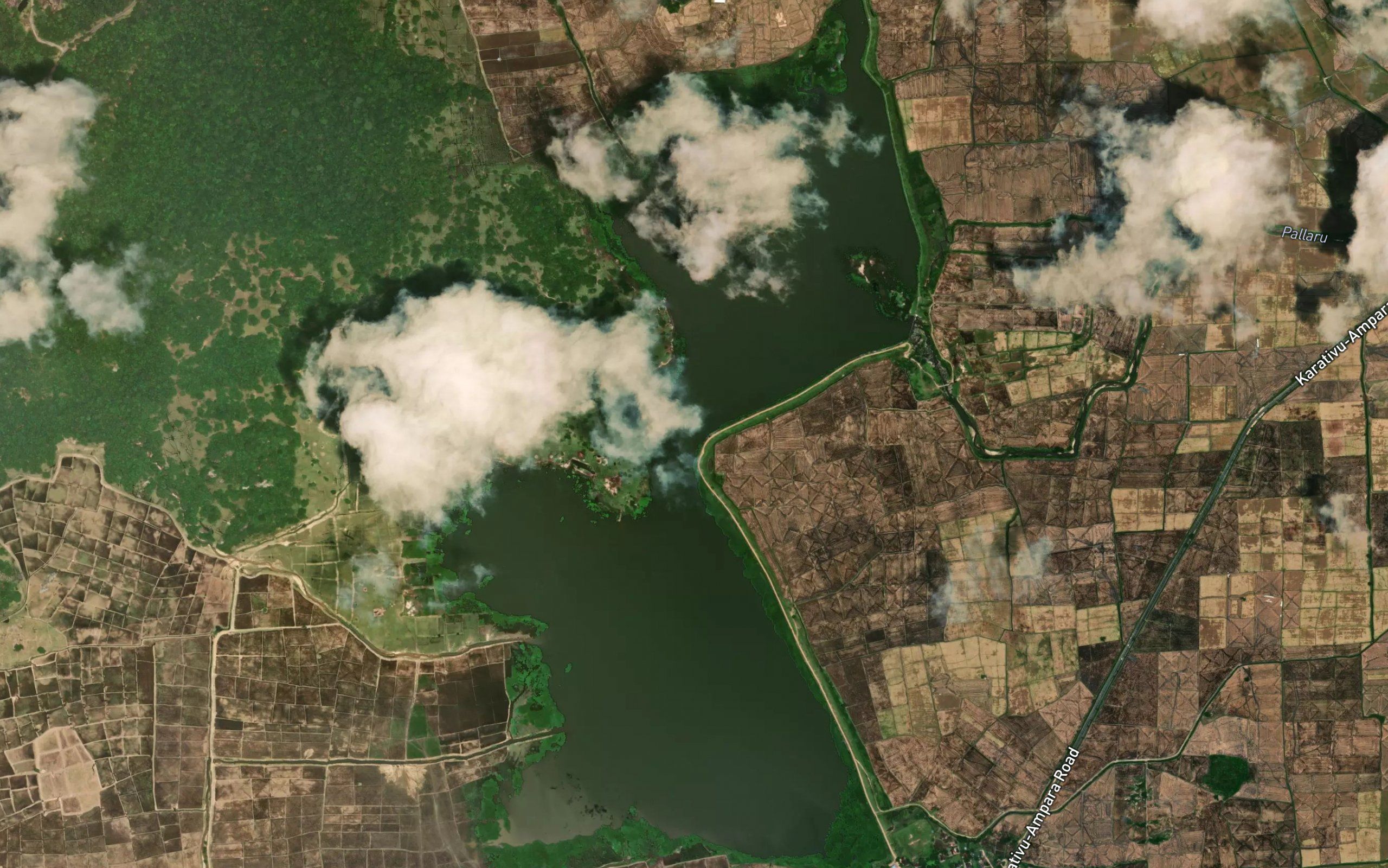 Valathapitty Kulam