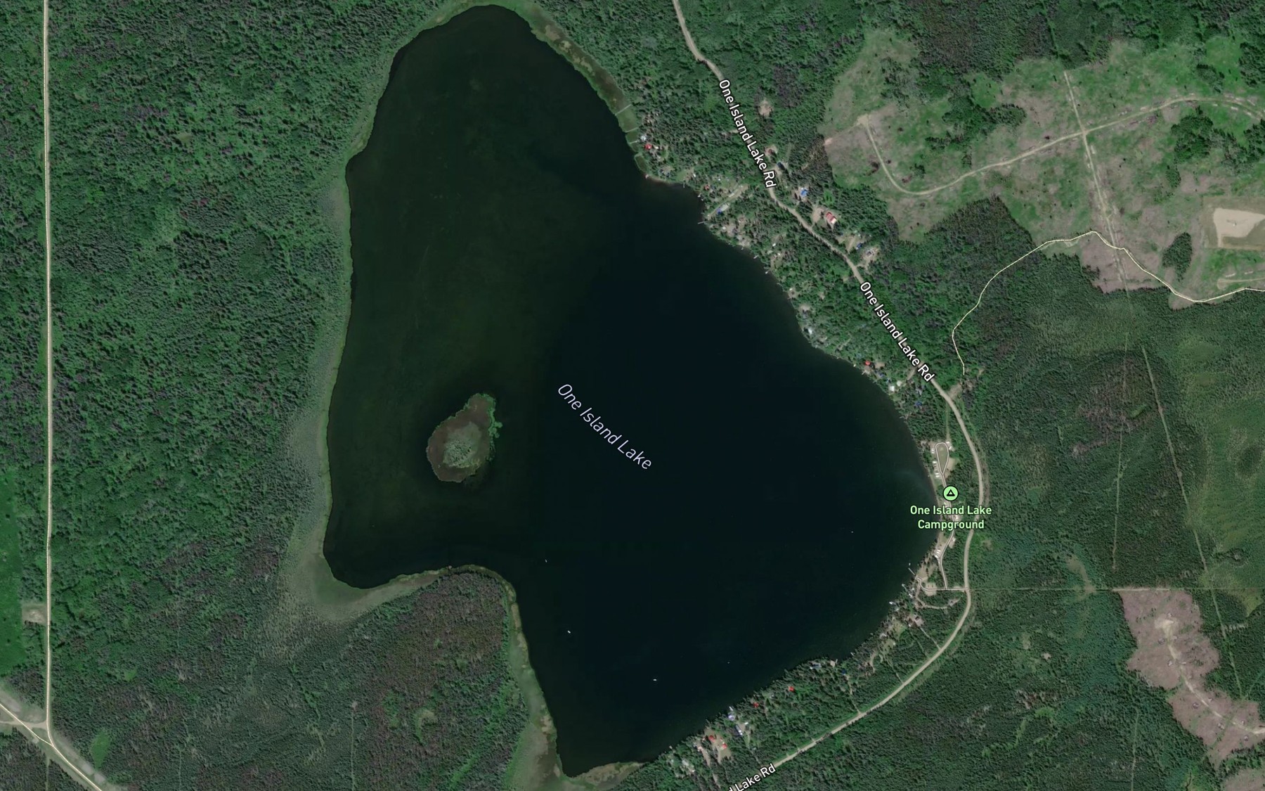 Satellite map of the One Island Lake