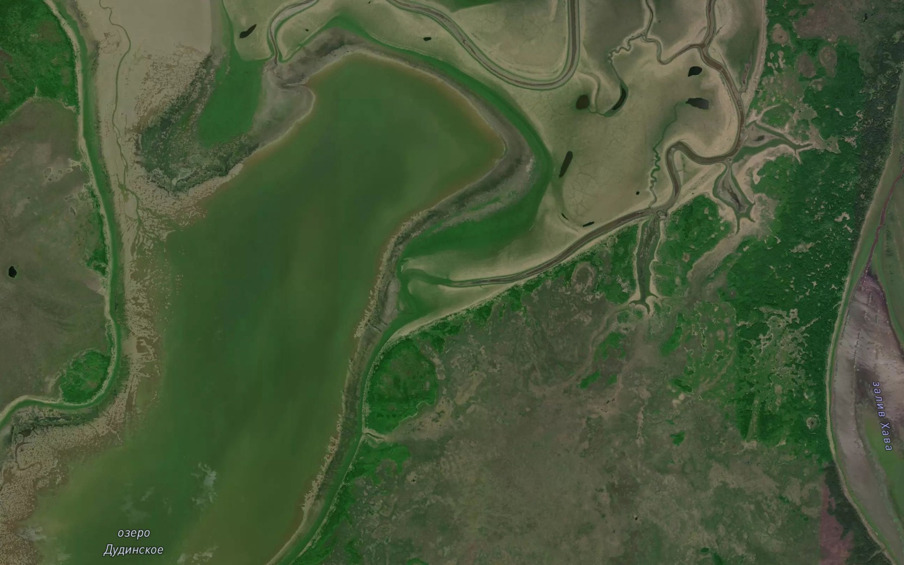 Satellite map of the Protoka Srednedudinskaya