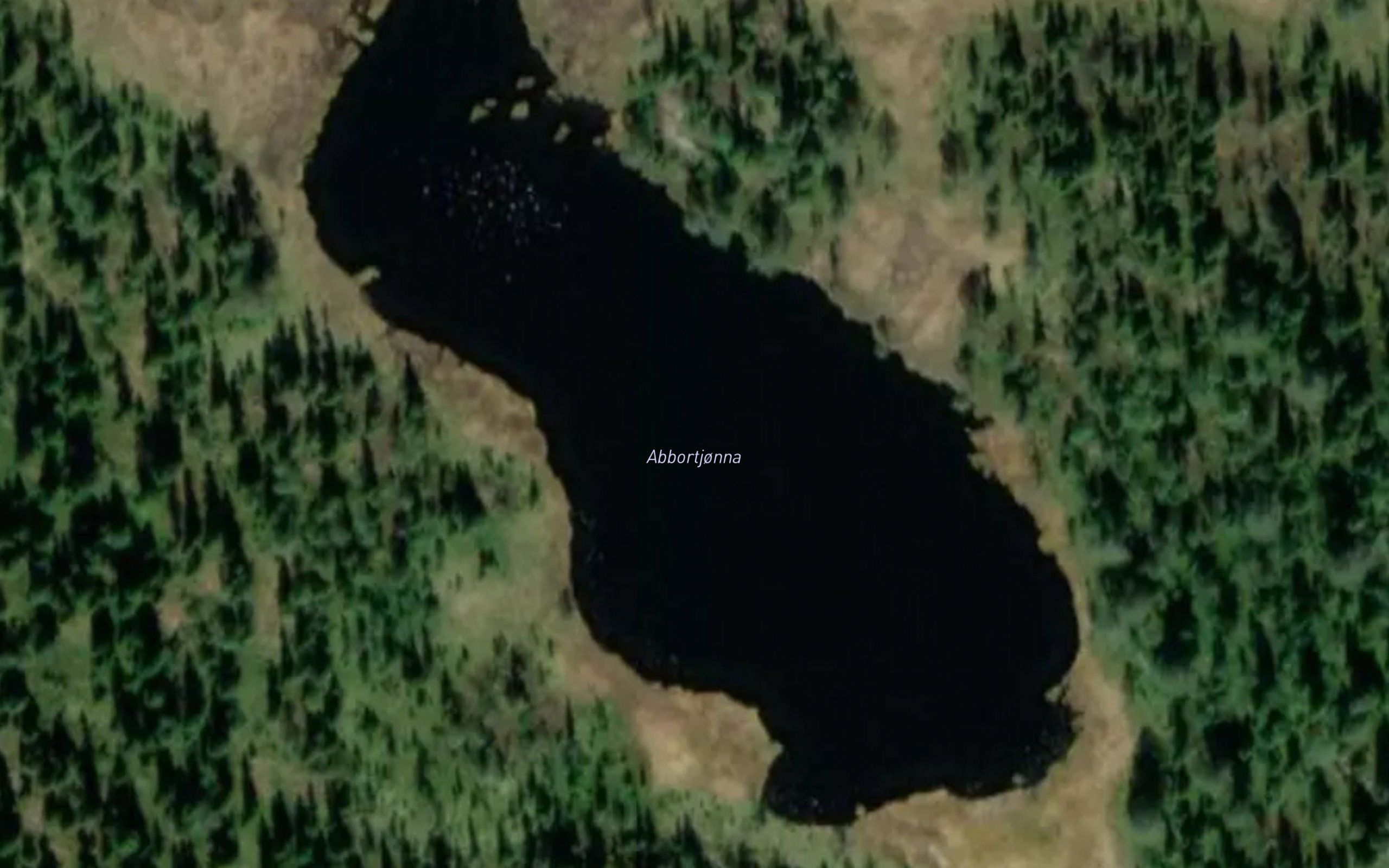 Abbortjonna