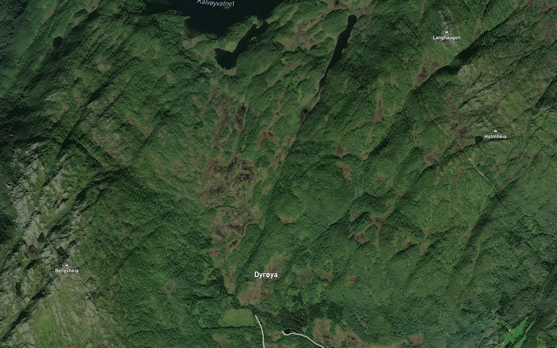 Satellite map of the Forsaelva