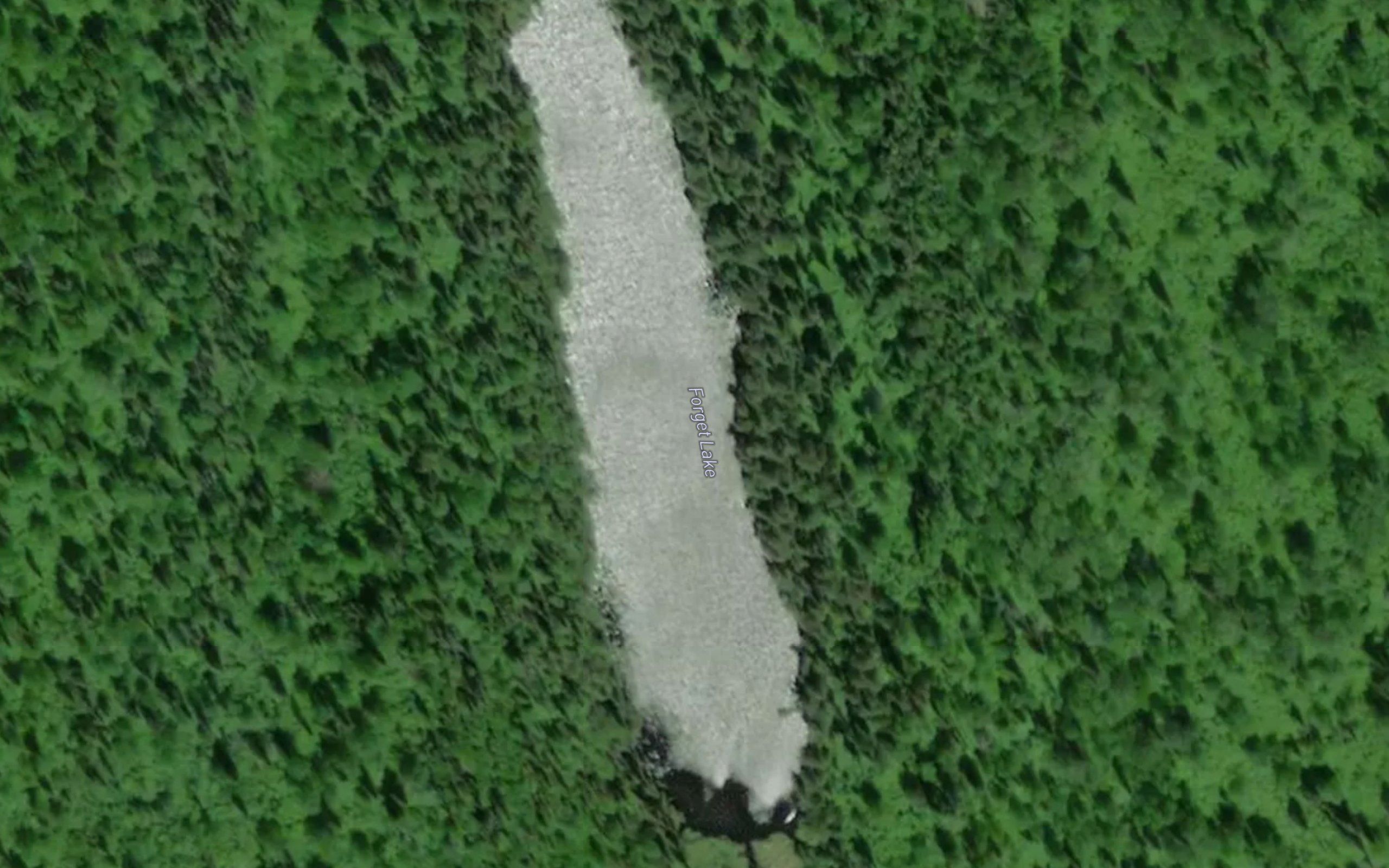 Forget Lake