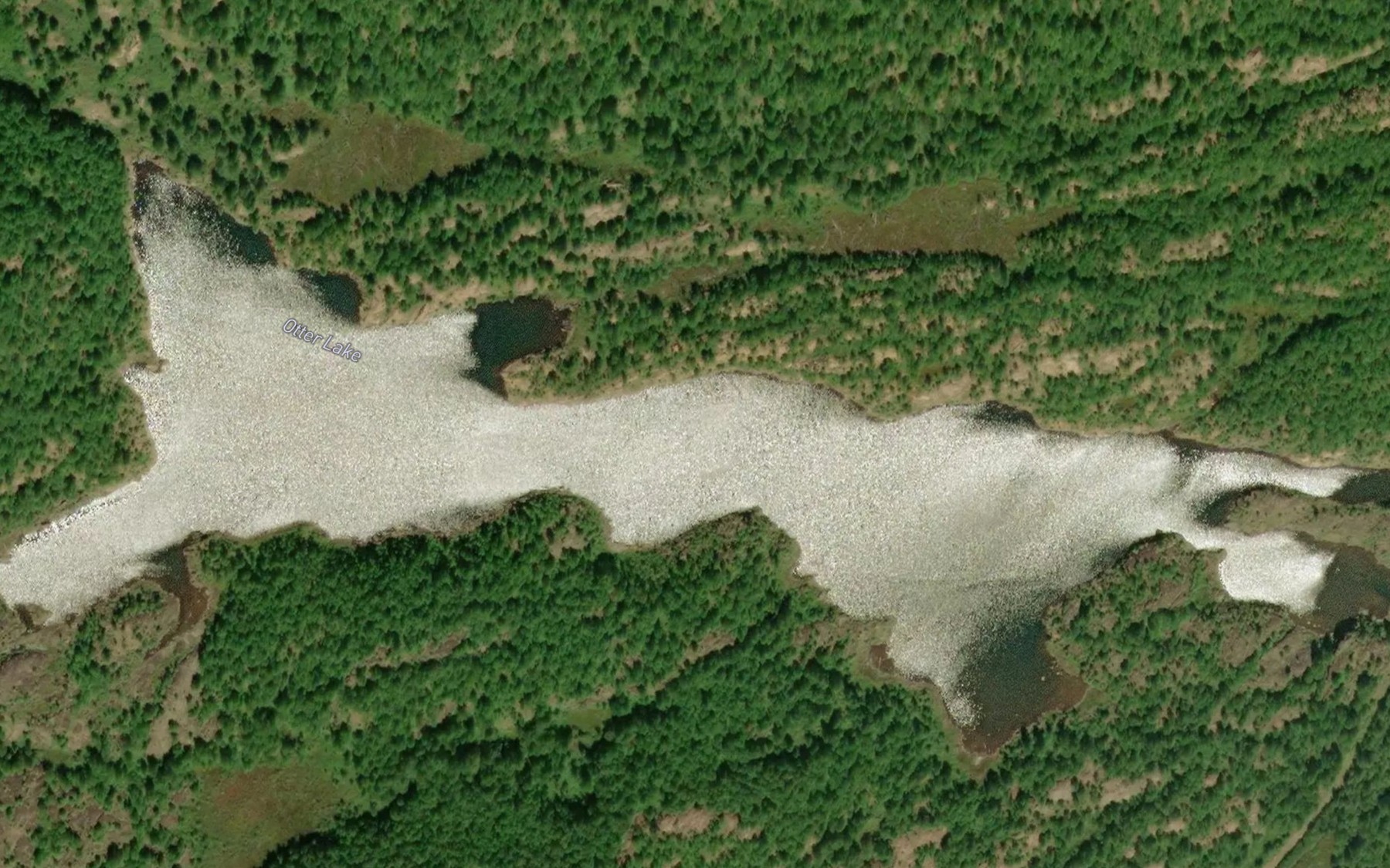 Satellite map of the Otter Lake