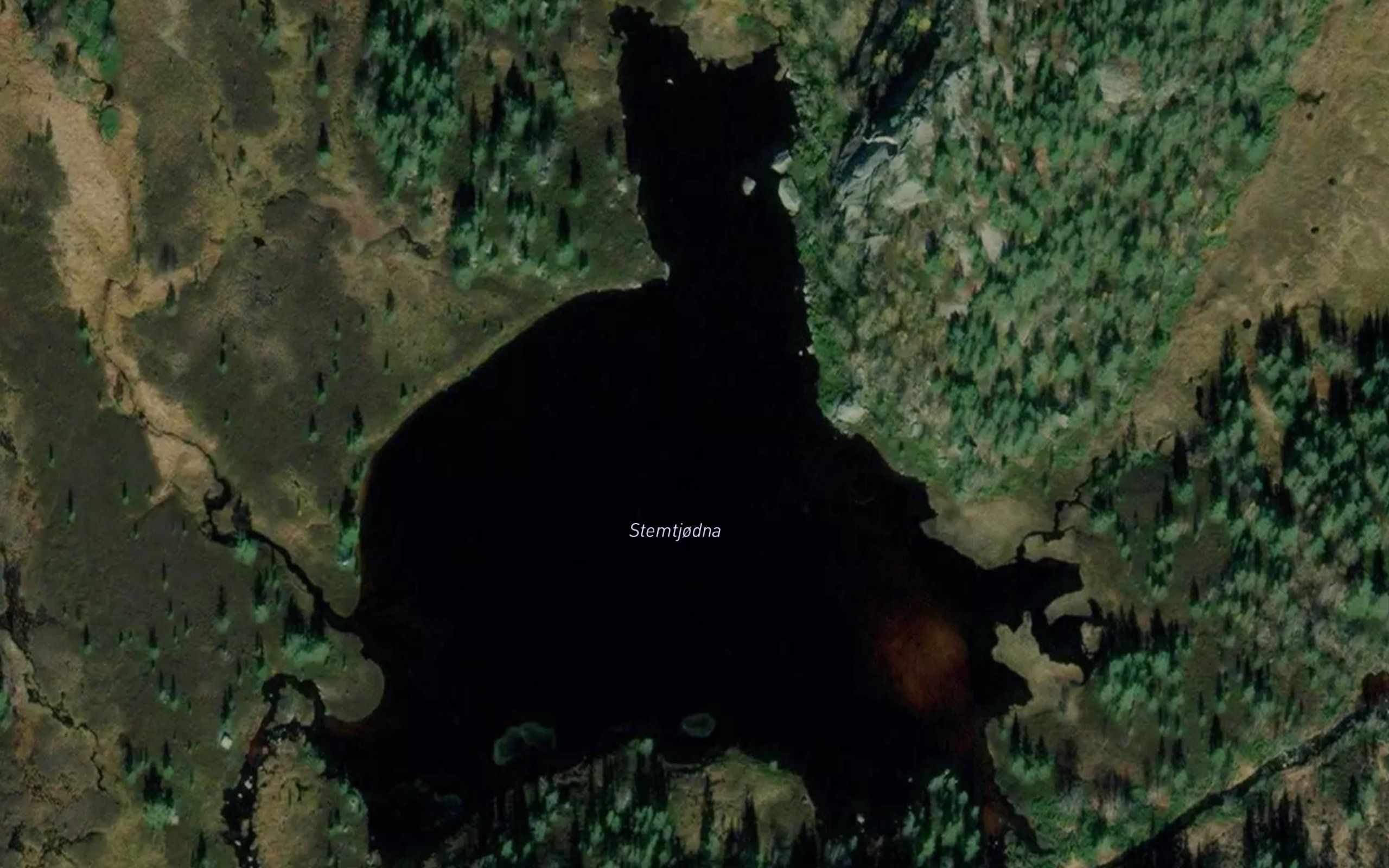 Stemtjorni