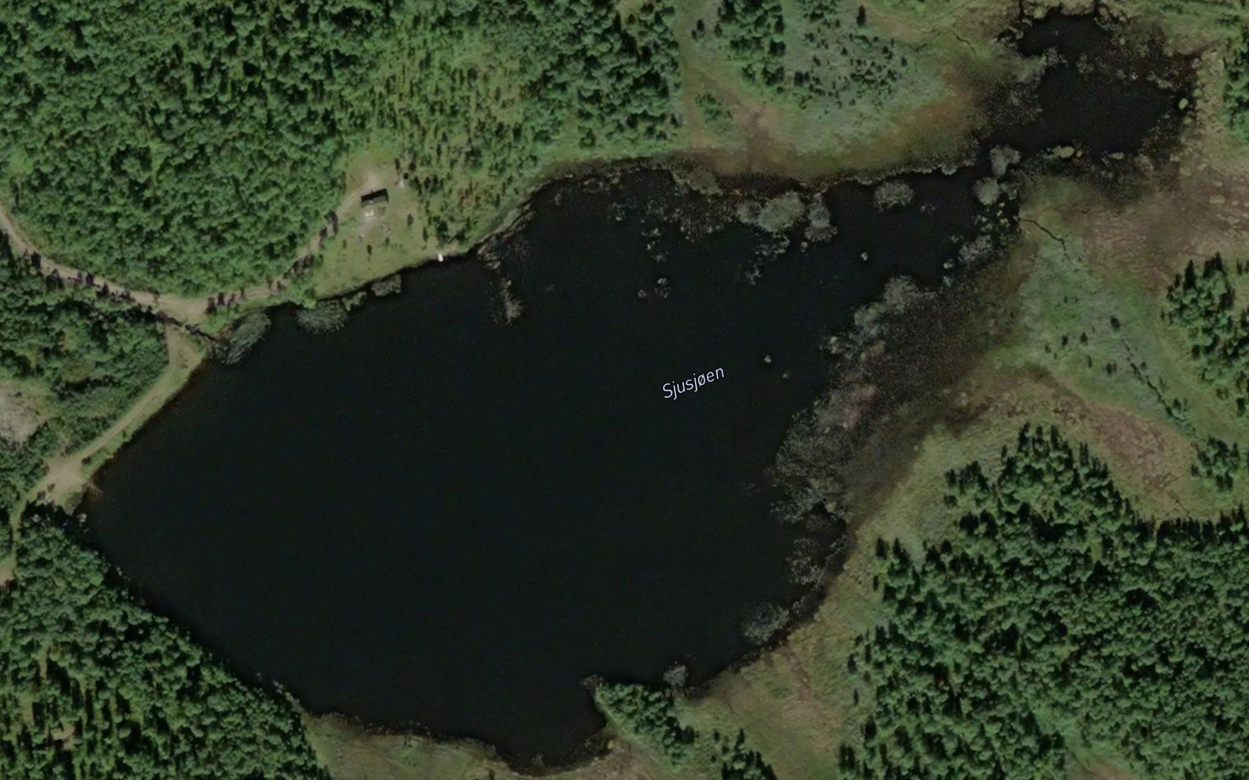 Sjusjoen