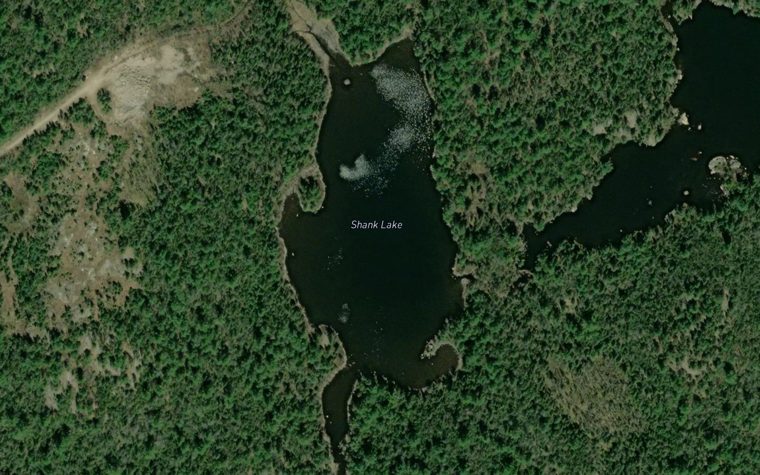 Shank Lake