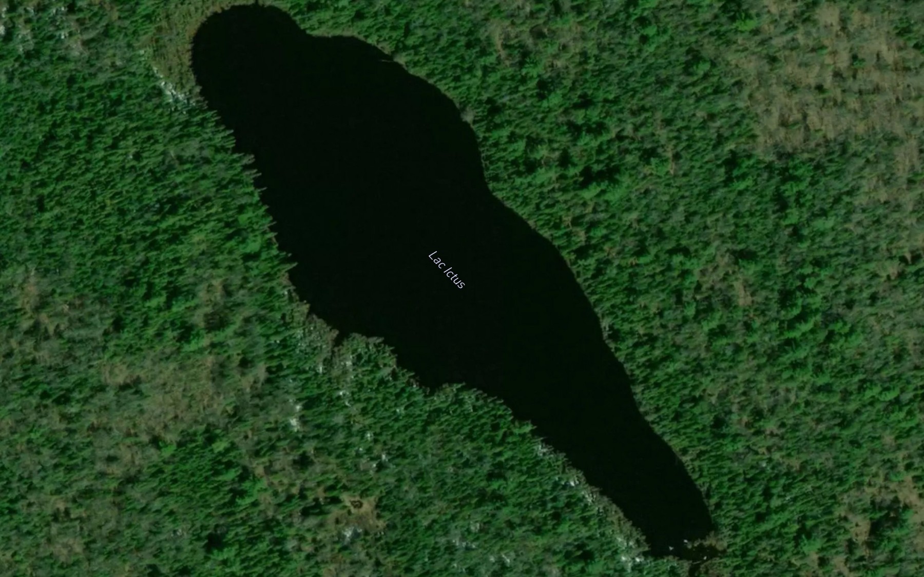 Satellite map of the Lac Ictus