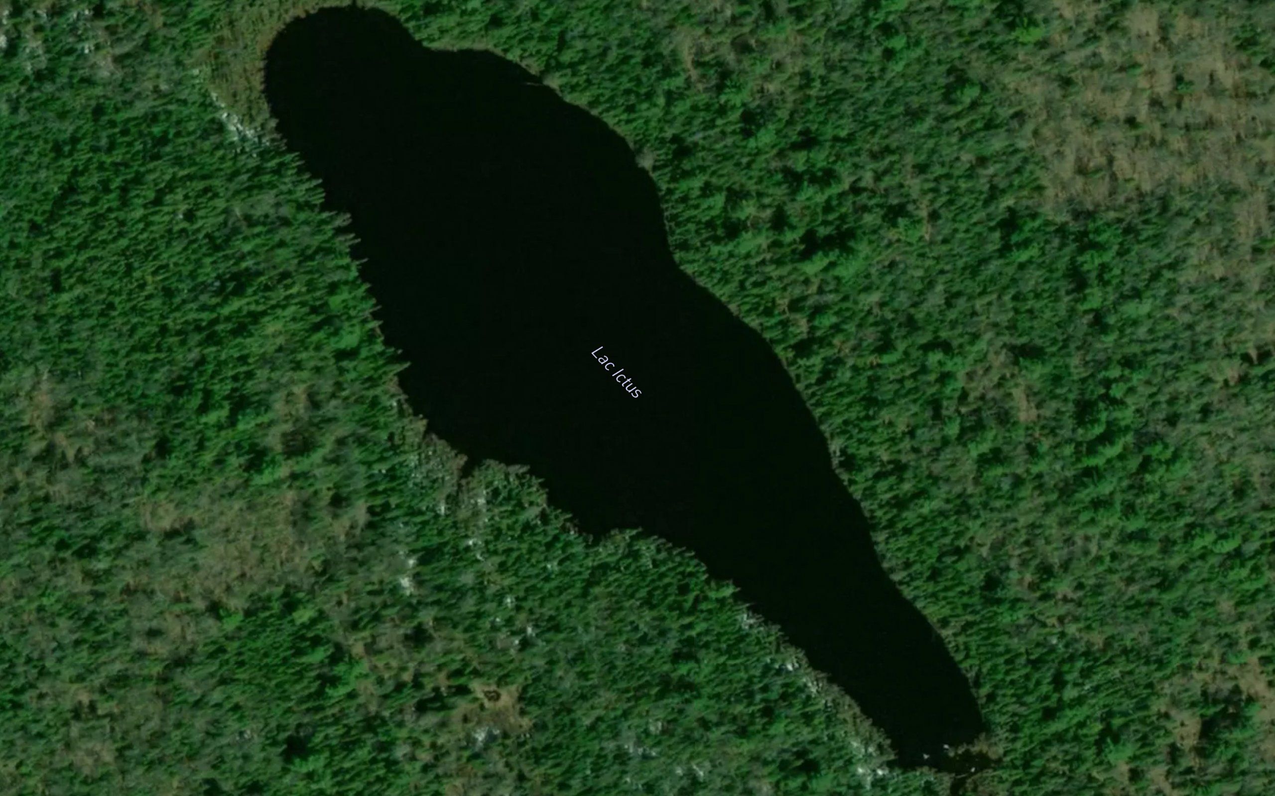Lac Ictus