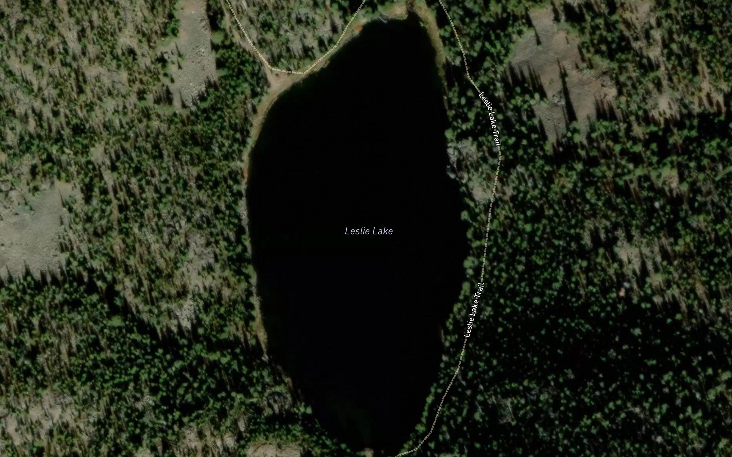 Leslie Lake