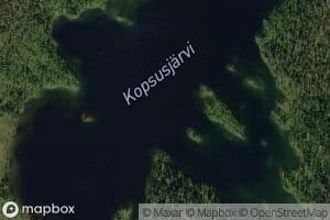 Kopsusjarvi