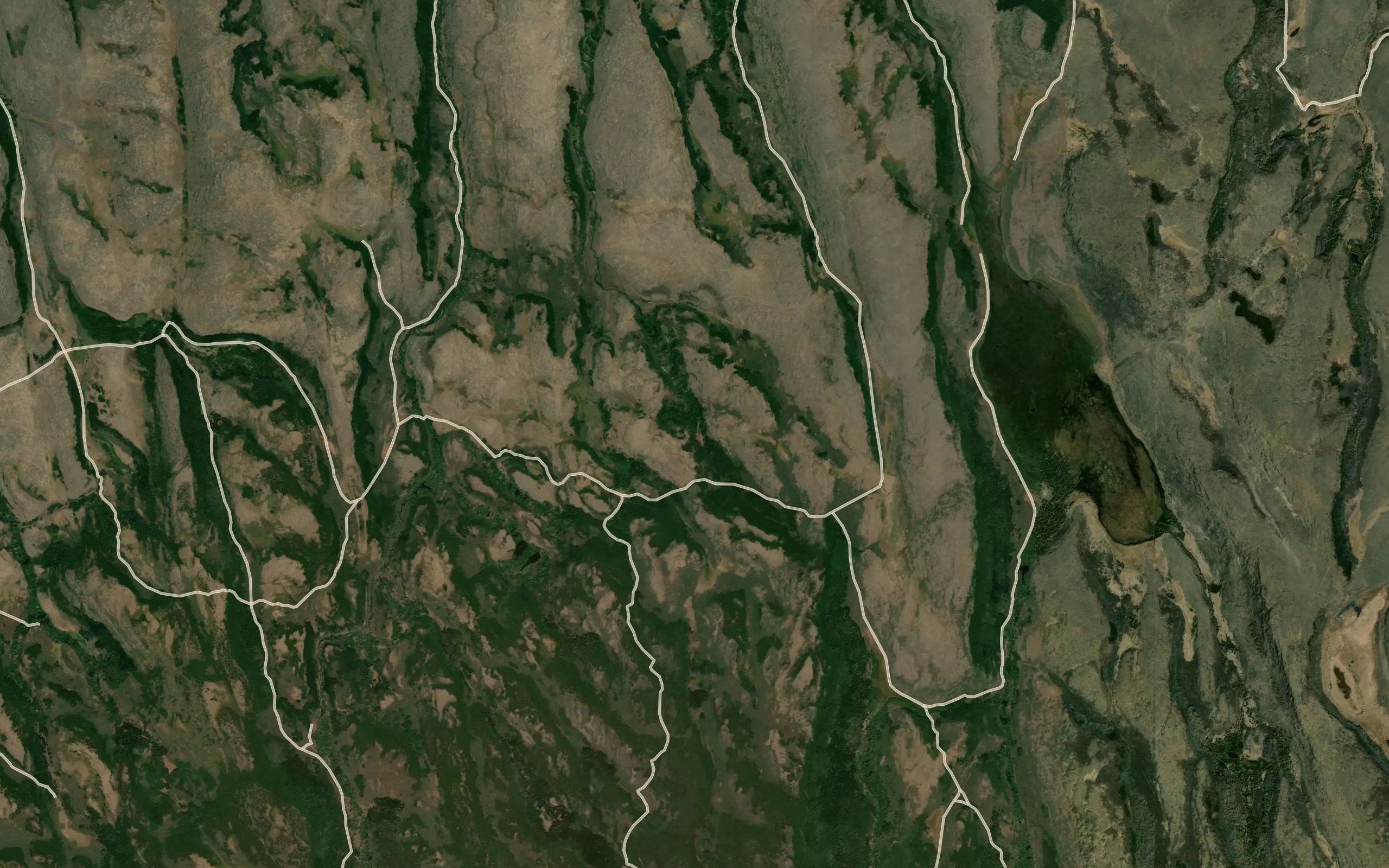 Damon Springs