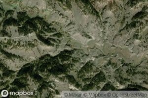 School Section Spring