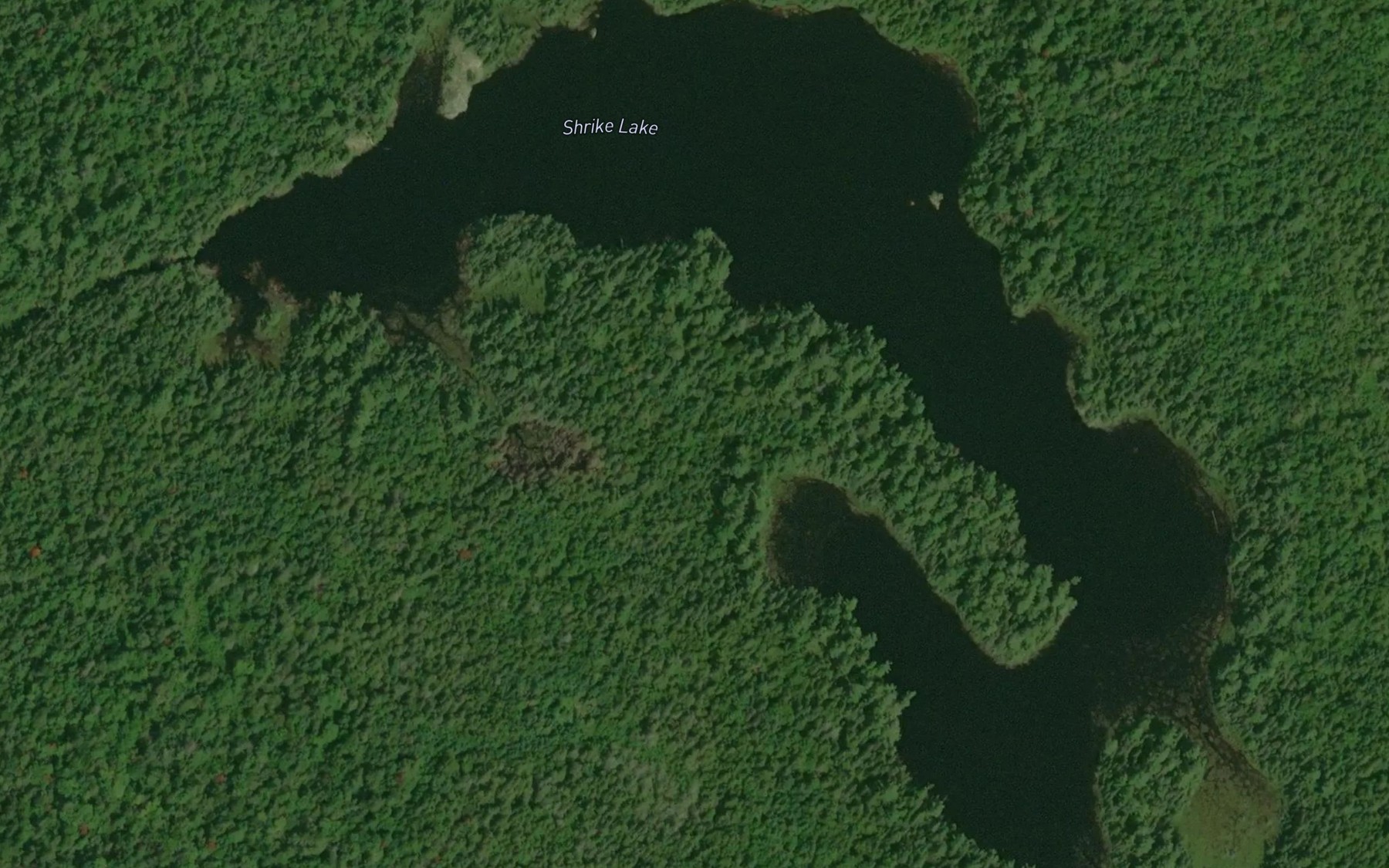 Satellite map of the Shrike Lake
