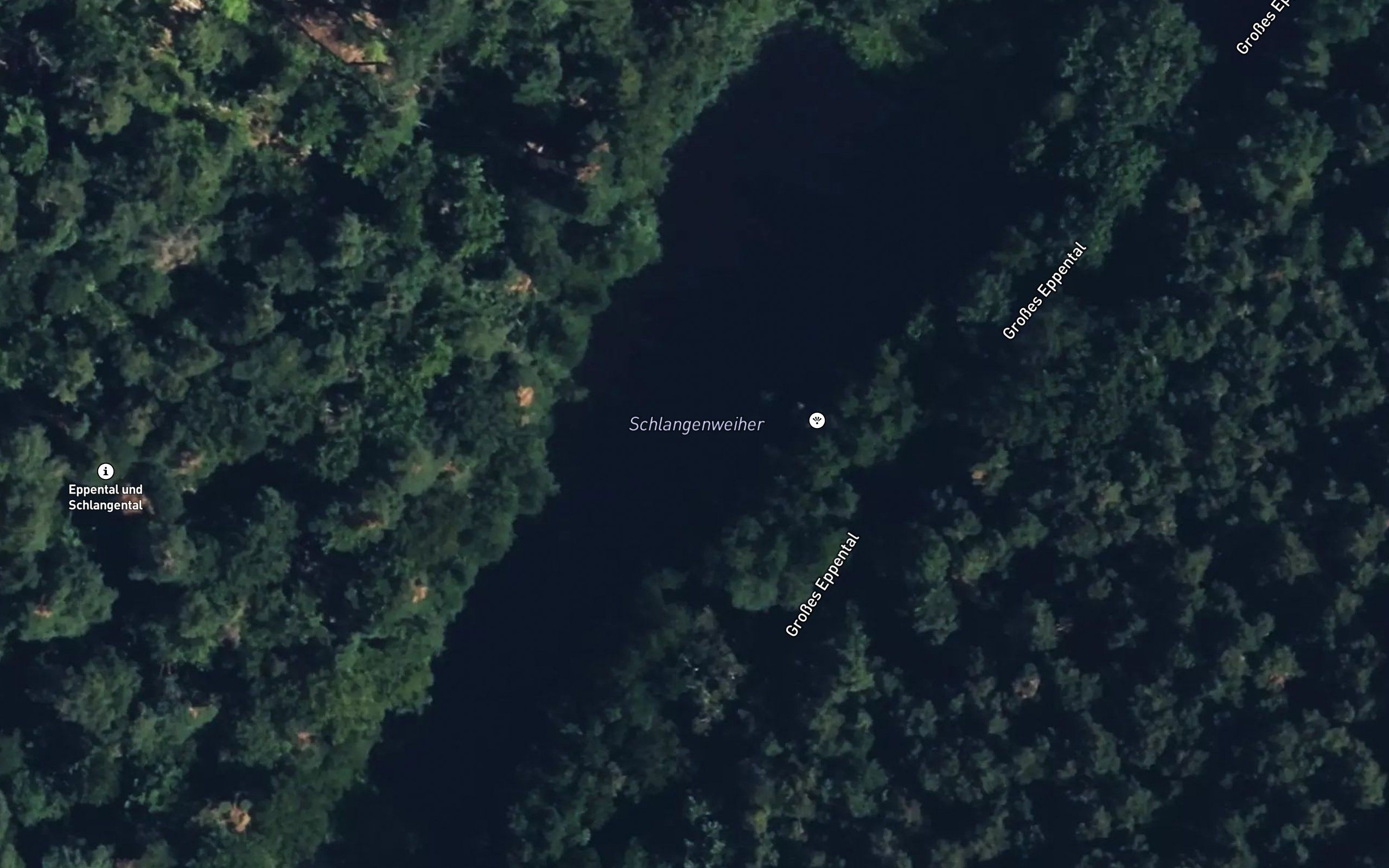 Schlangenweiher