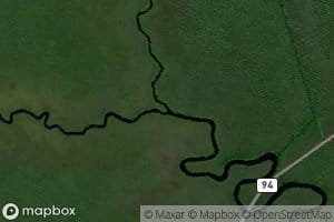 Southwest Fork Alligator River