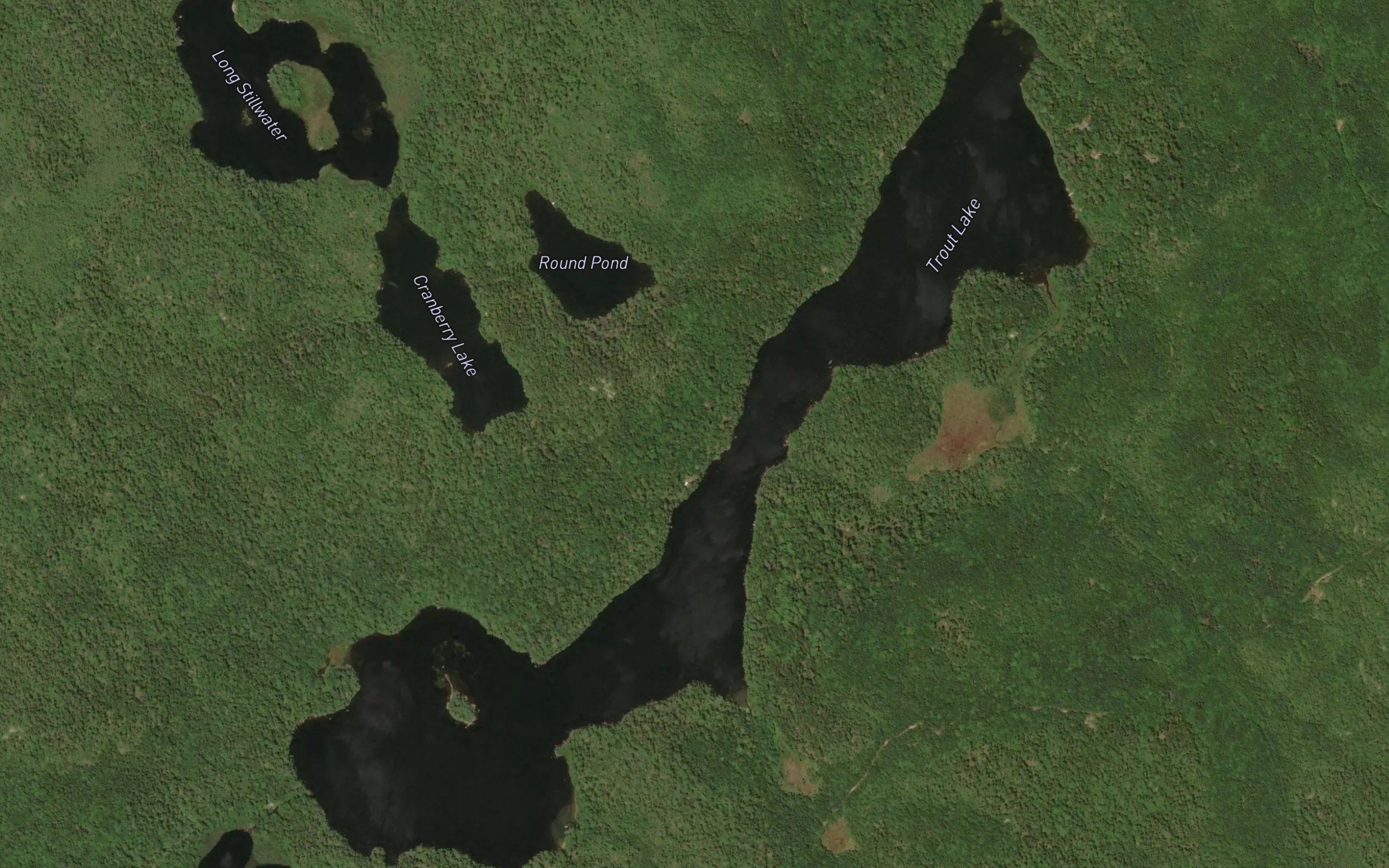 Trout Lake