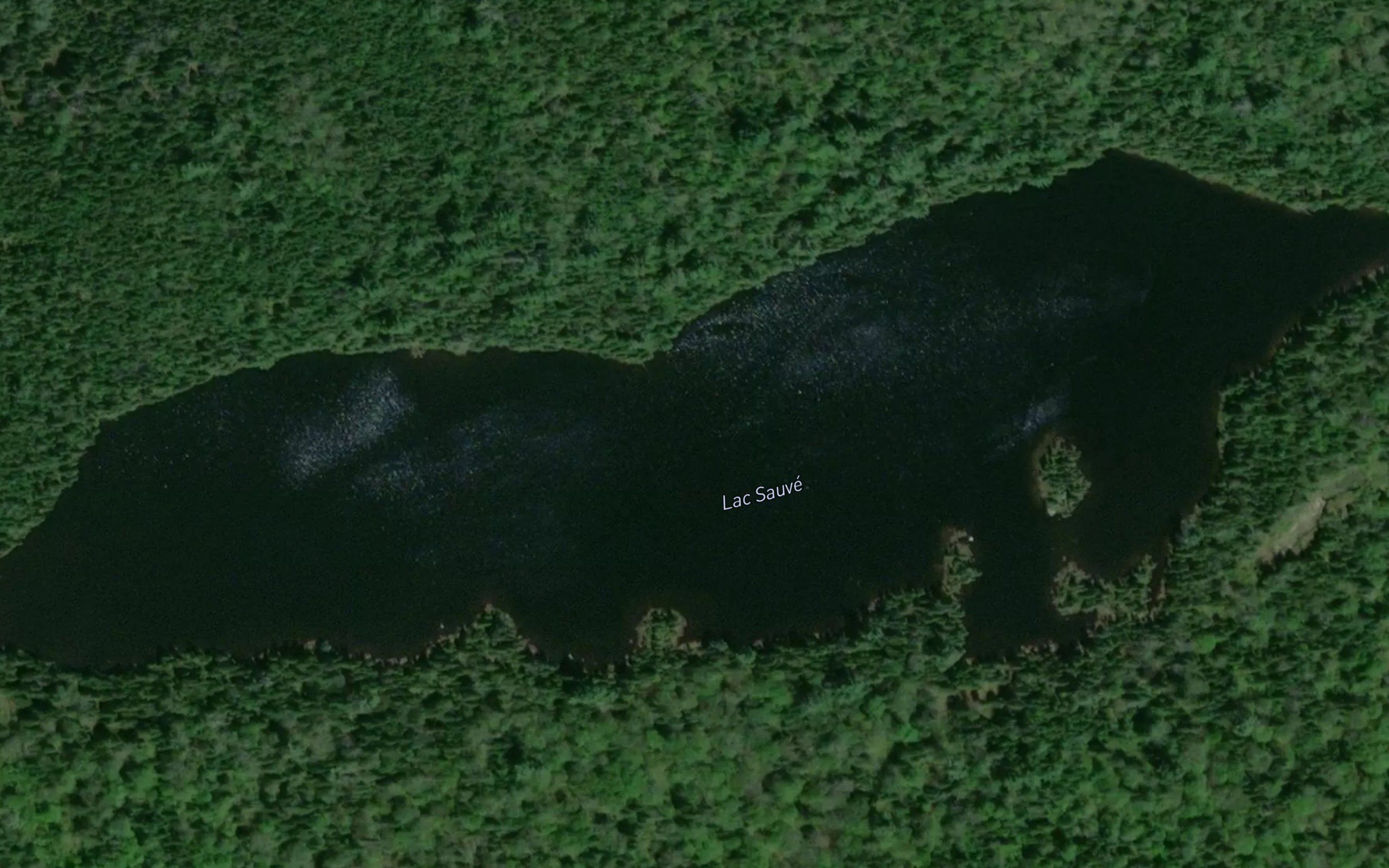 Lac Sauve