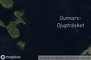 Gunnarsdjuptrask