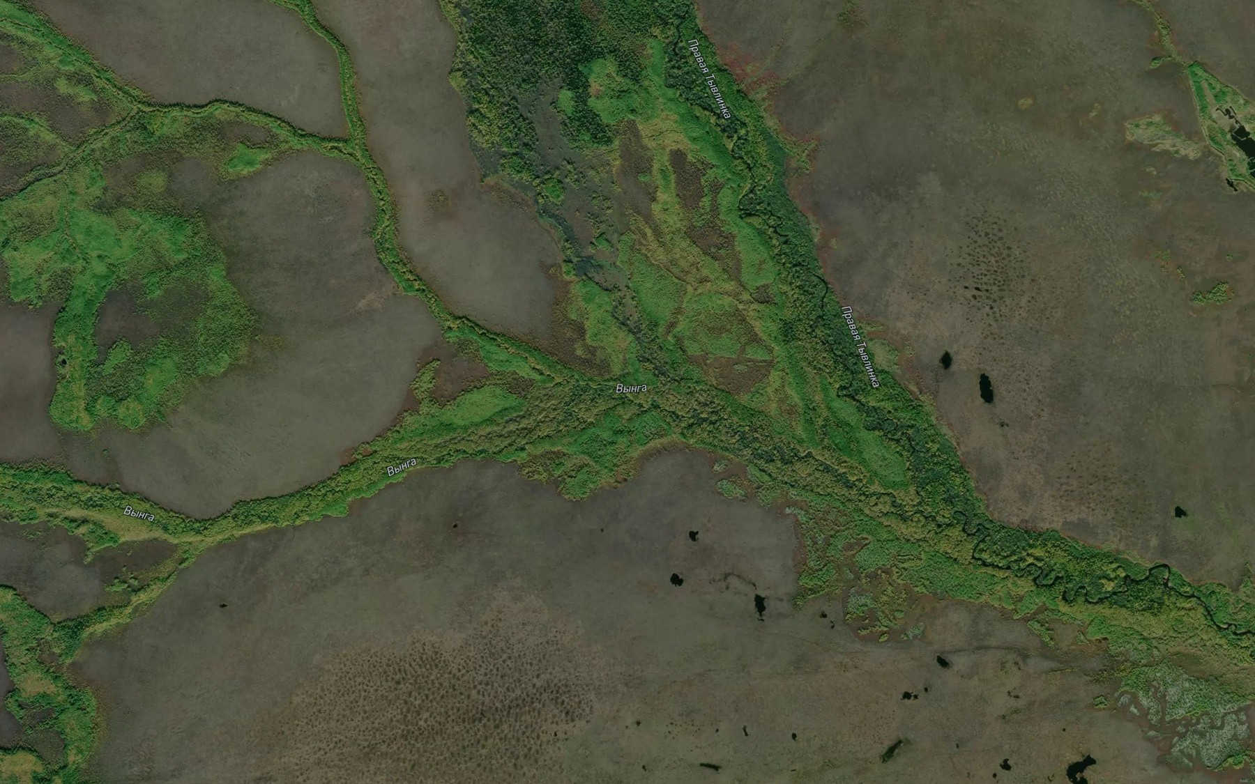 Satellite map of the Kamenistyy