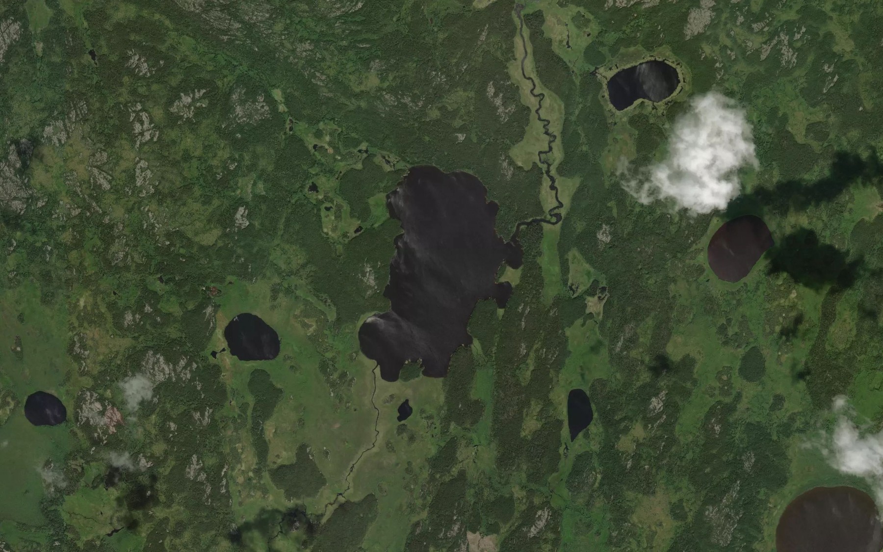 Satellite map of the Shewchyshyn Lake