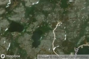 Daddys Island Steady