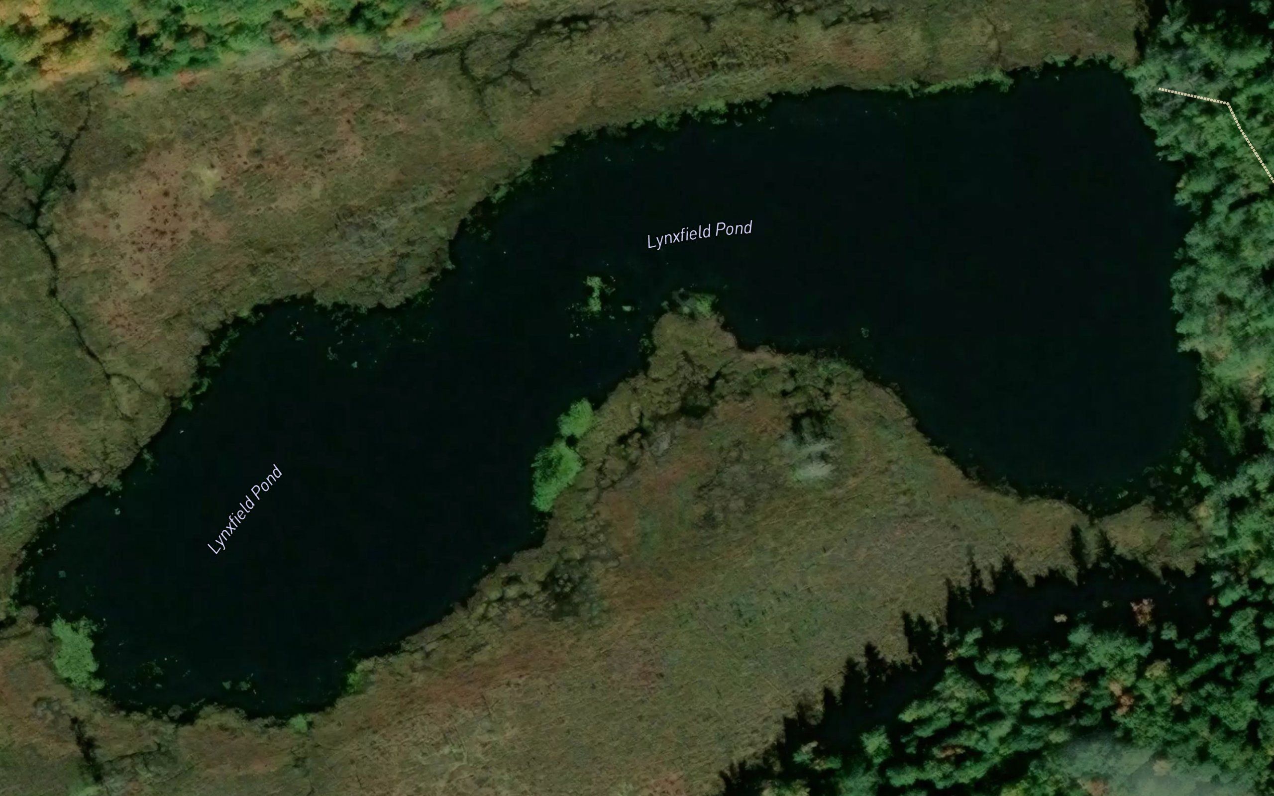 Lynxfield Pond