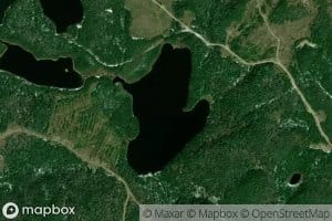 Lac Collins