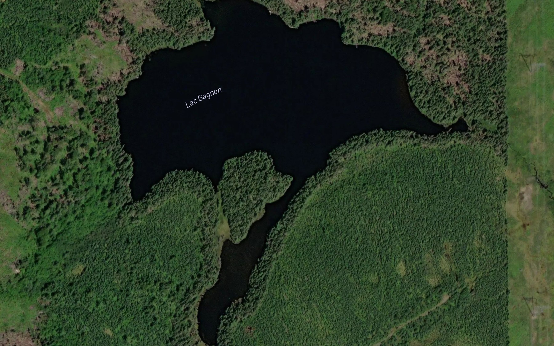 Satellite map of the Lac Gagnon