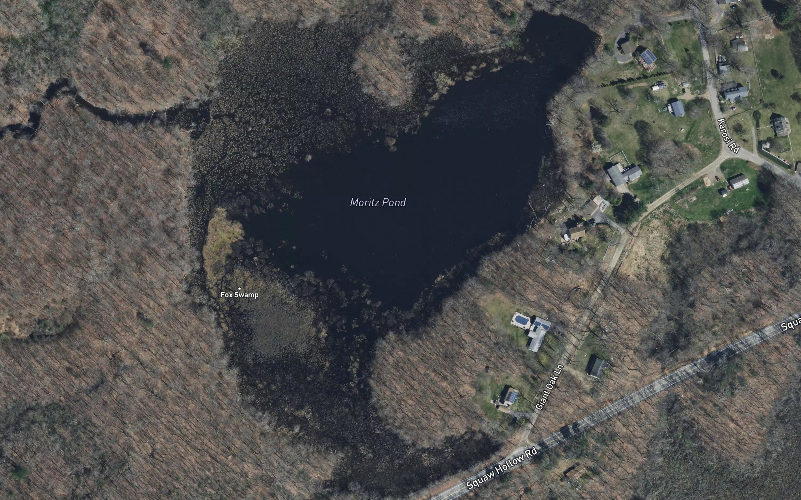 Moritz Pond