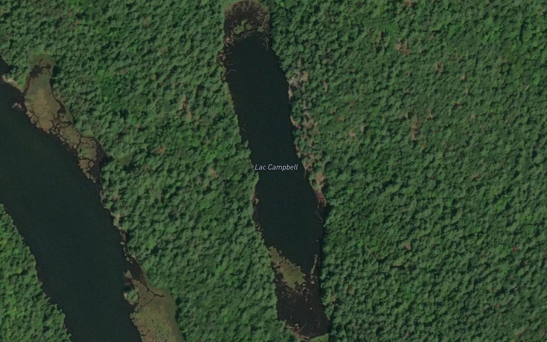 Satellite map of the Lac Campbell