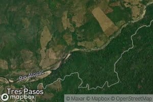 El Cacao