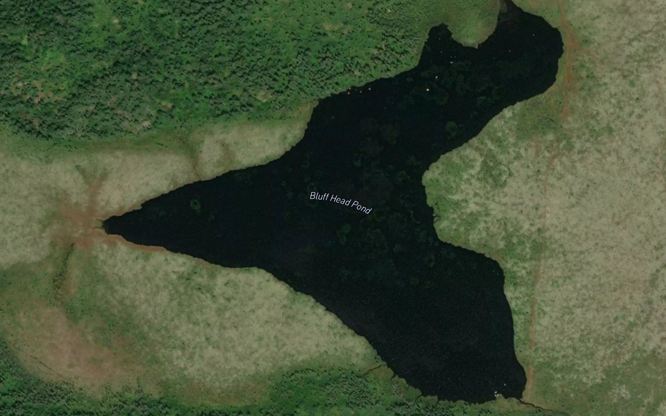 Bluff Head Pond