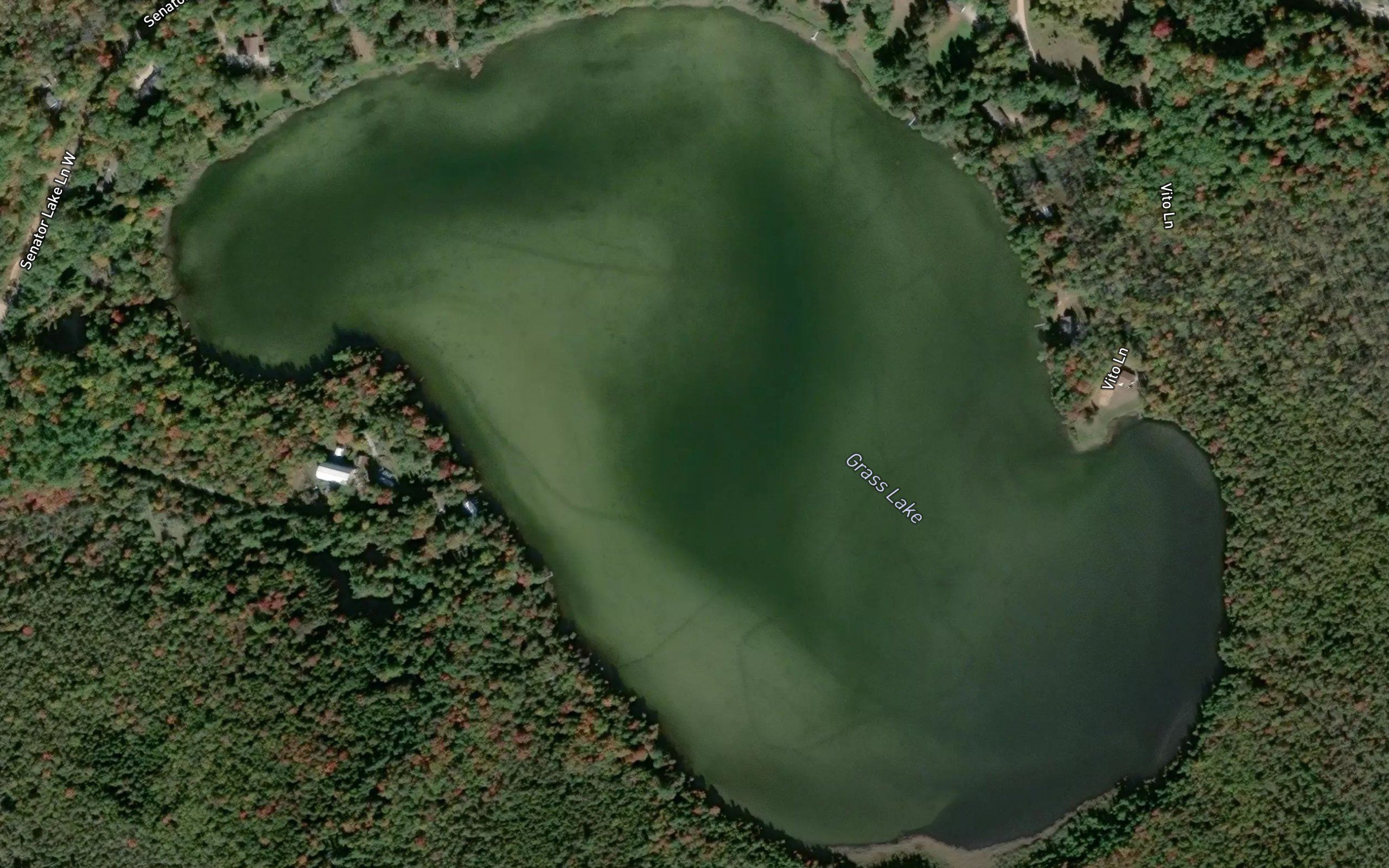 Grass Lake