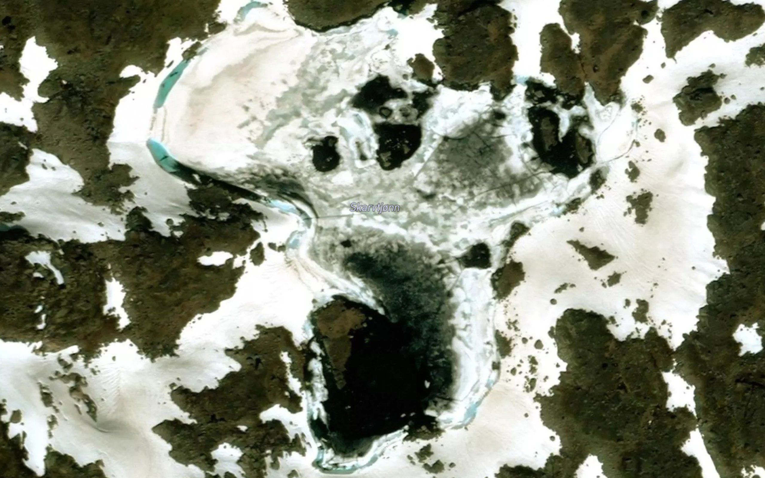 Skarvtjorn