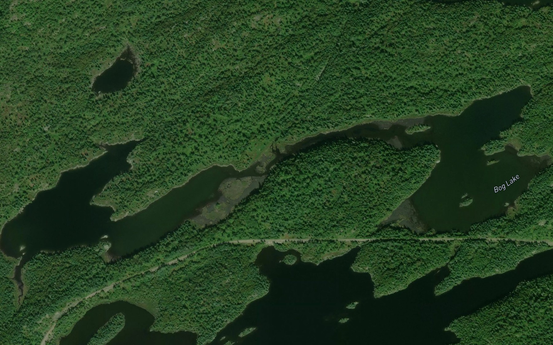 Satellite map of the Bog Lake