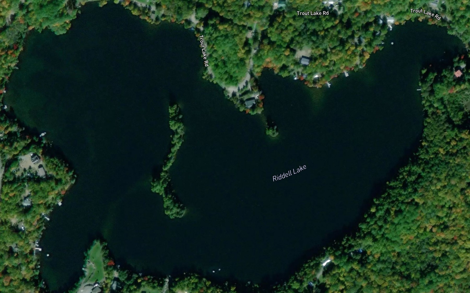 Satellite map of the Riddell Lake