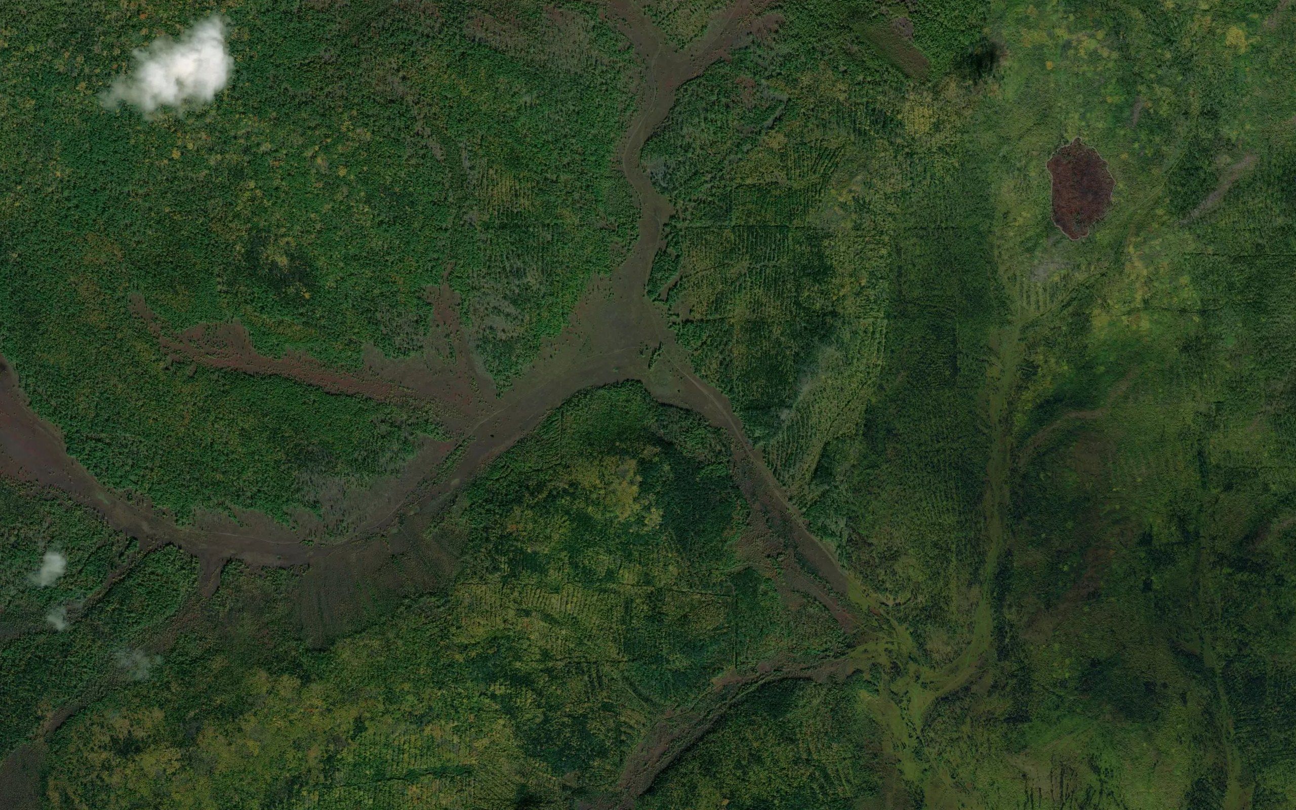 Kataval