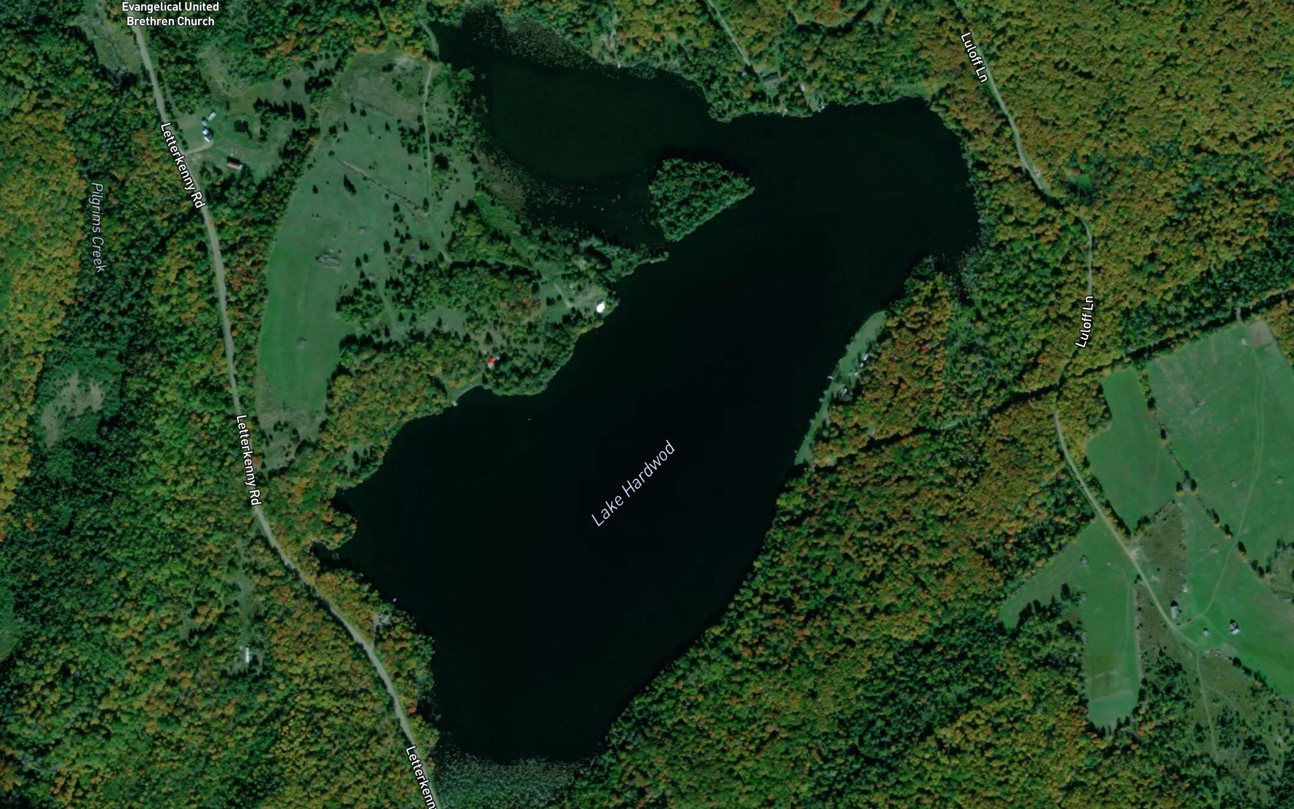 Lake Hardwood