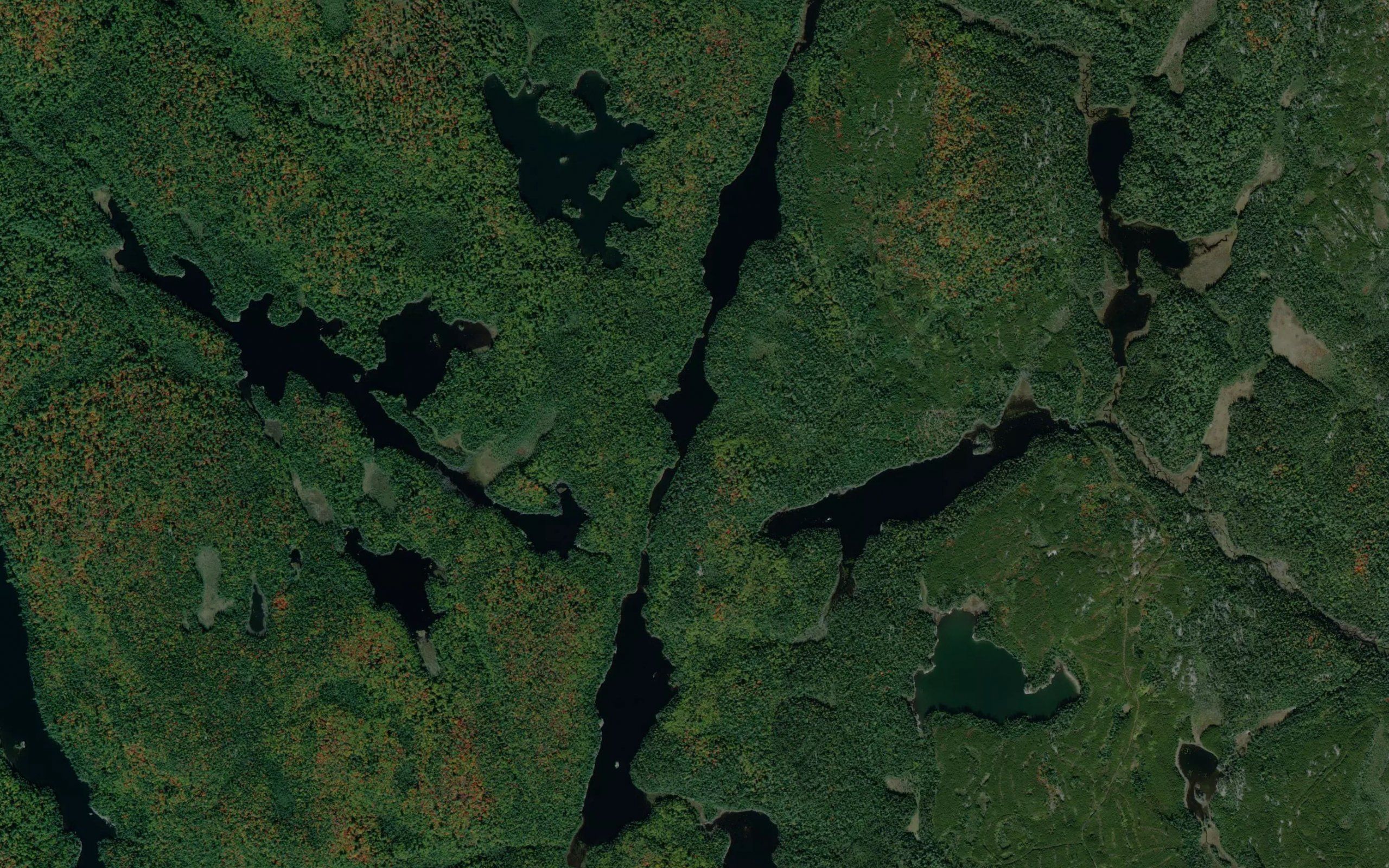 Buck Lake