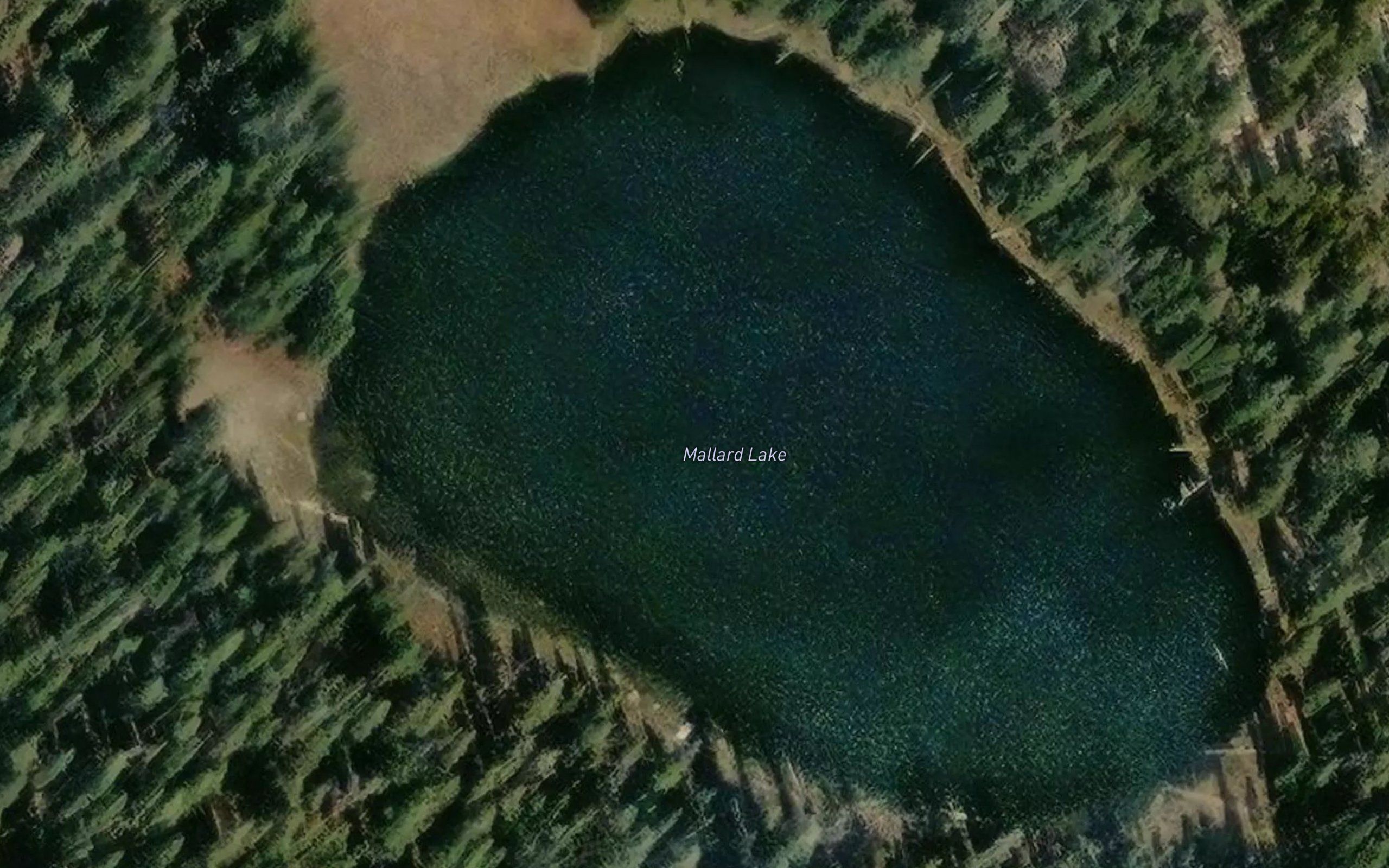 Mallard Lake