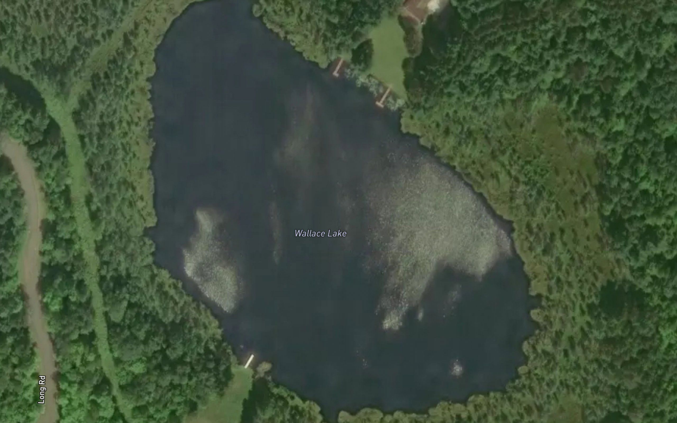 Wallace Lake