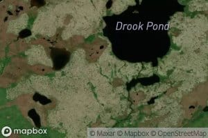 Brook Pond