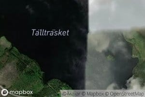 Talltrasket