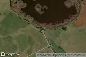 Canal Numero Dieciocho