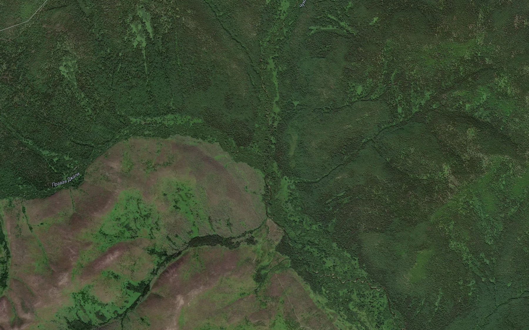 Satellite map of the Levaya Dzhapi