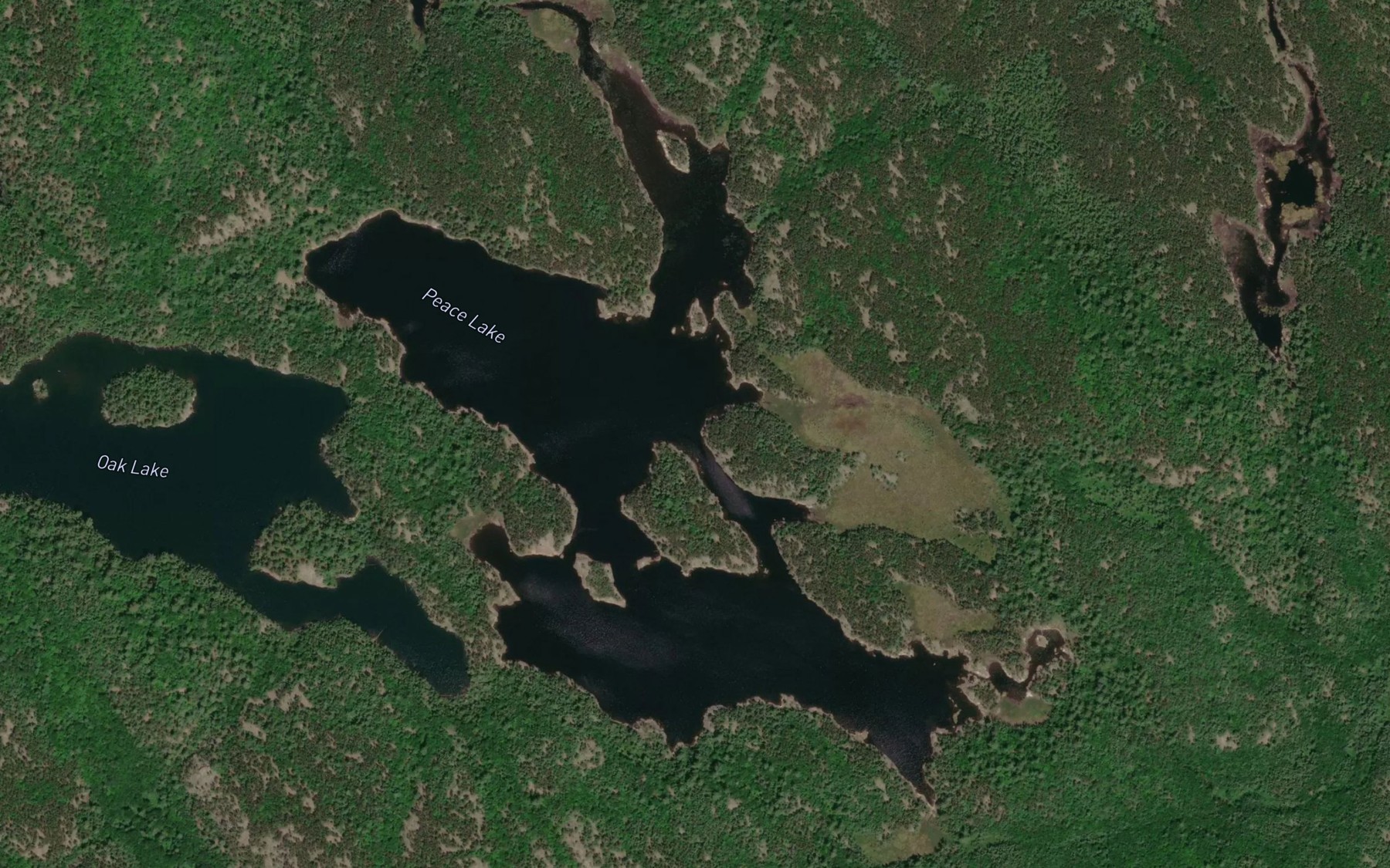 Satellite map of the Peace Lake