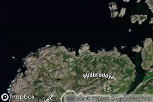 Jodelviga