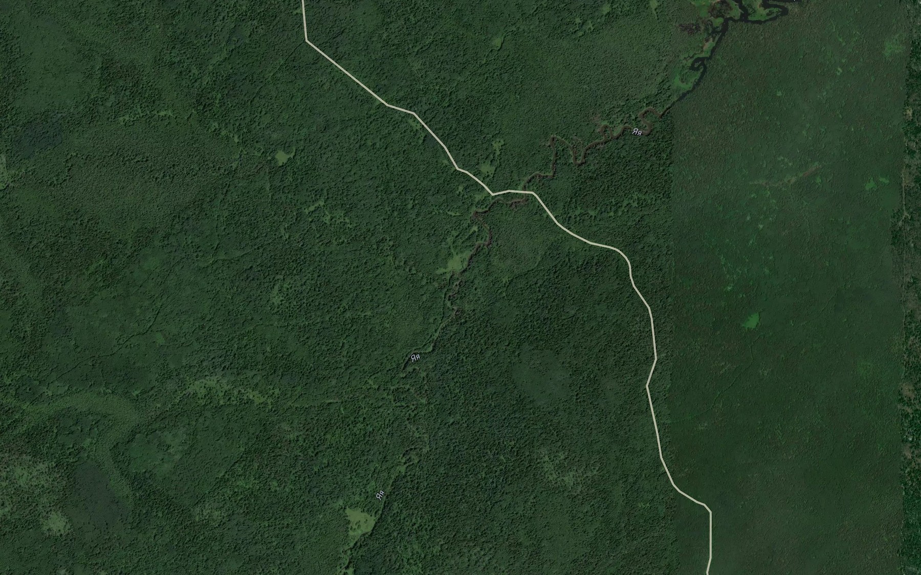 Satellite map of the Prokina